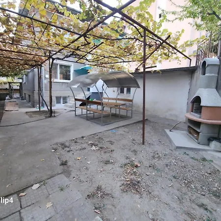 Guest Suzy Petrich (Blagoevgrad)