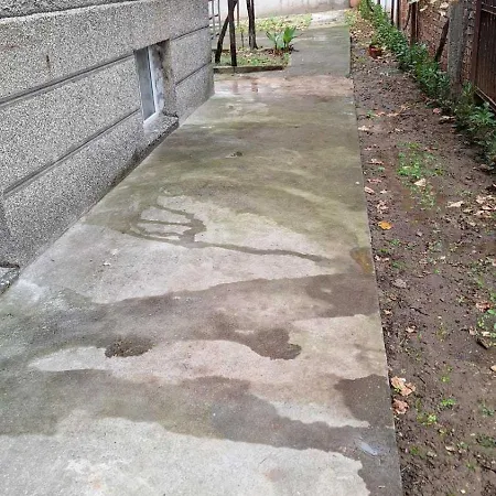 Guest Suzy Apartman *