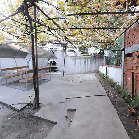 Guest Suzy Apartman Petrics