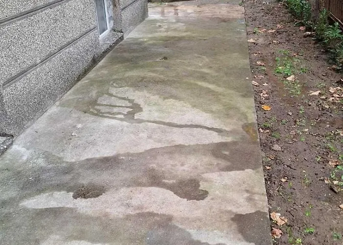 Guest Suzy Lejlighed *